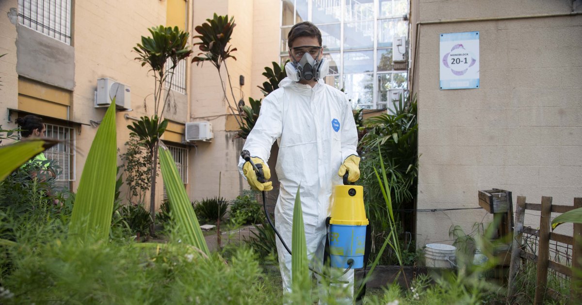 Dengue sigue el descenso de casos por la llegada del frío pero