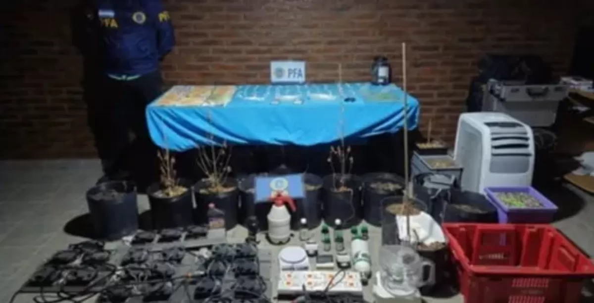 Secuestraron 40 kilos de marihuana y millones de pesos tras un operativo federal en Rosario y Roldán