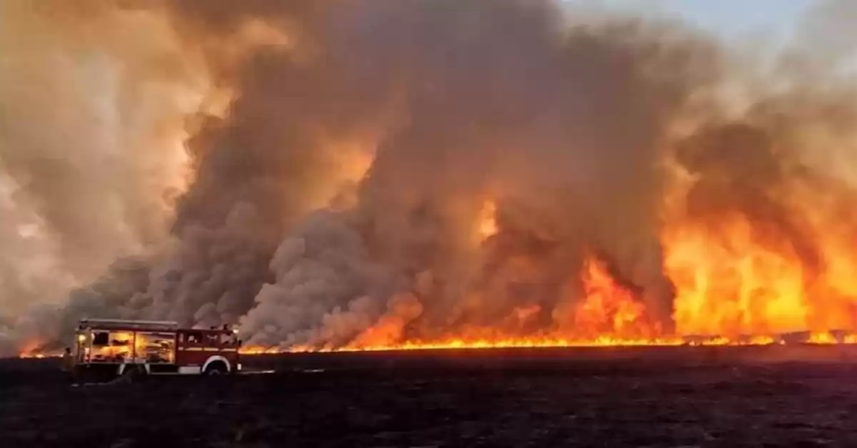 La provincia se presentará ante la justicia para que se investiguen los incendios de las islas