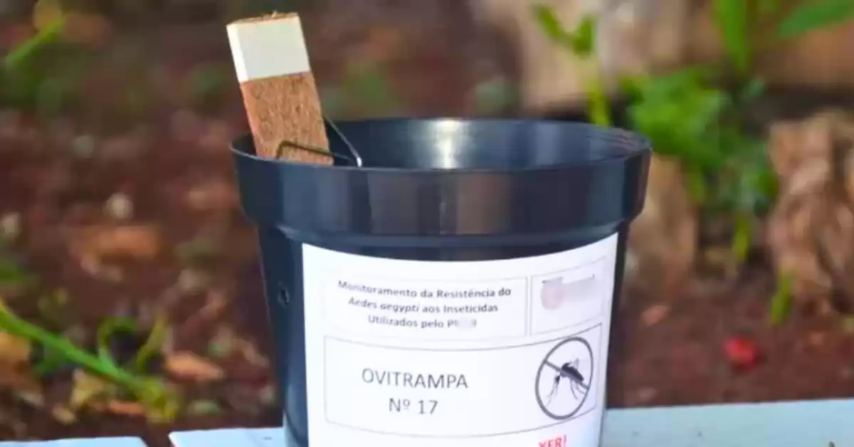 Desarrollarán en San Lorenzo un taller para la prevención del dengue y distribuirán ovitrampas