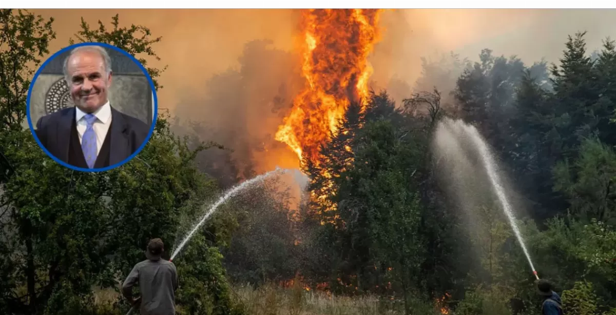 Nuevo subsecretario de Ambiente admitió que el gobierno falló en la prevención de los incendios en la Patagonia