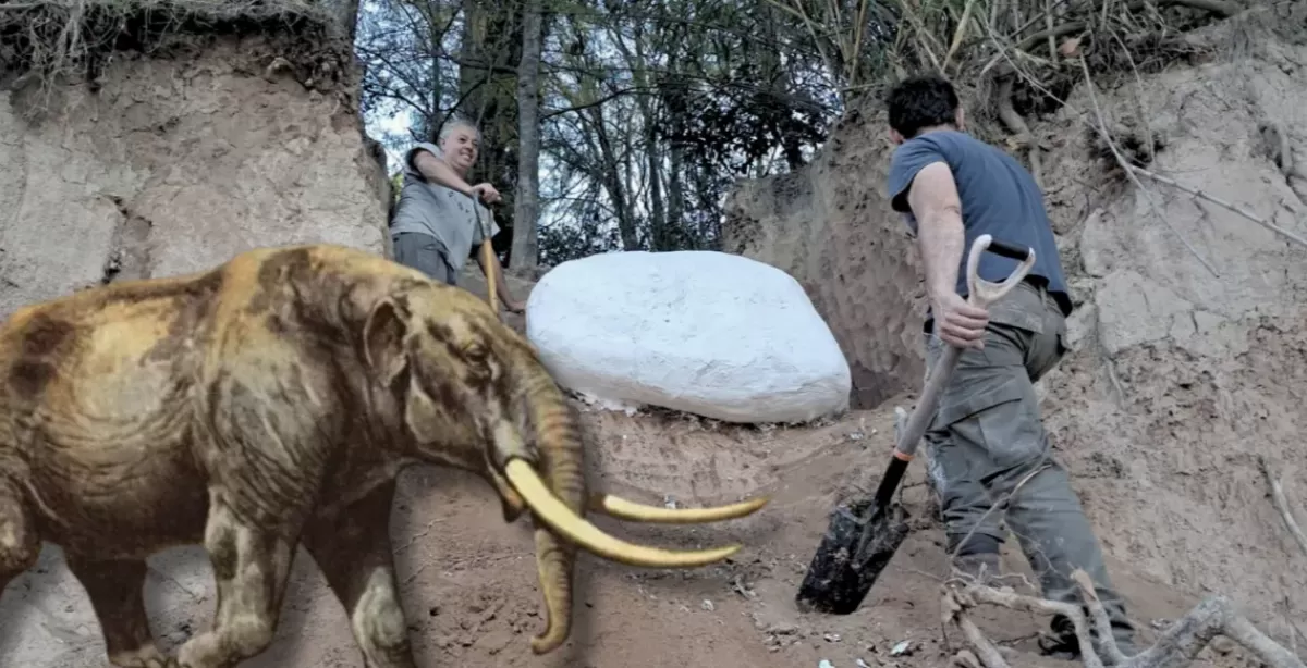 Importante hallazgo paleontológico: encontraron un cráneo de mastodonte en el Arroyo Pavón