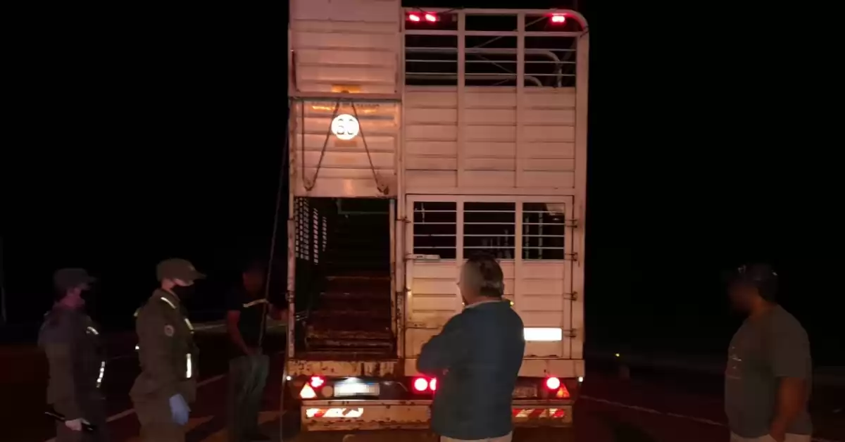 Incautan más de cinco millones de pesos ocultos en el semirremolque de un transporte de carga