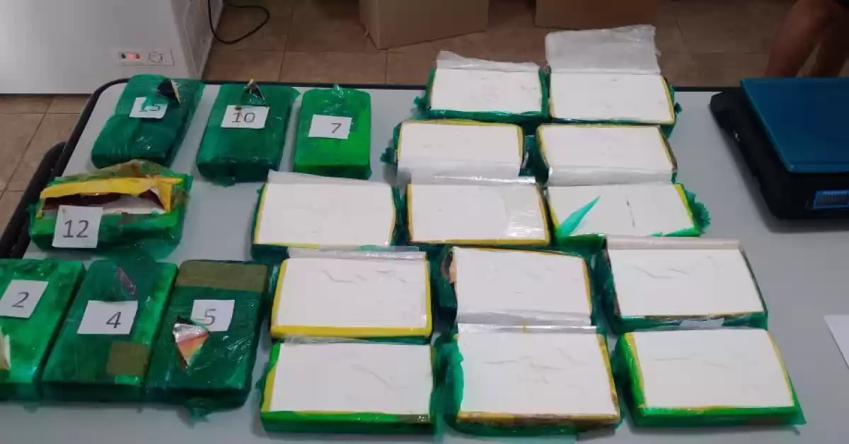 Un pasajero viajaba en un