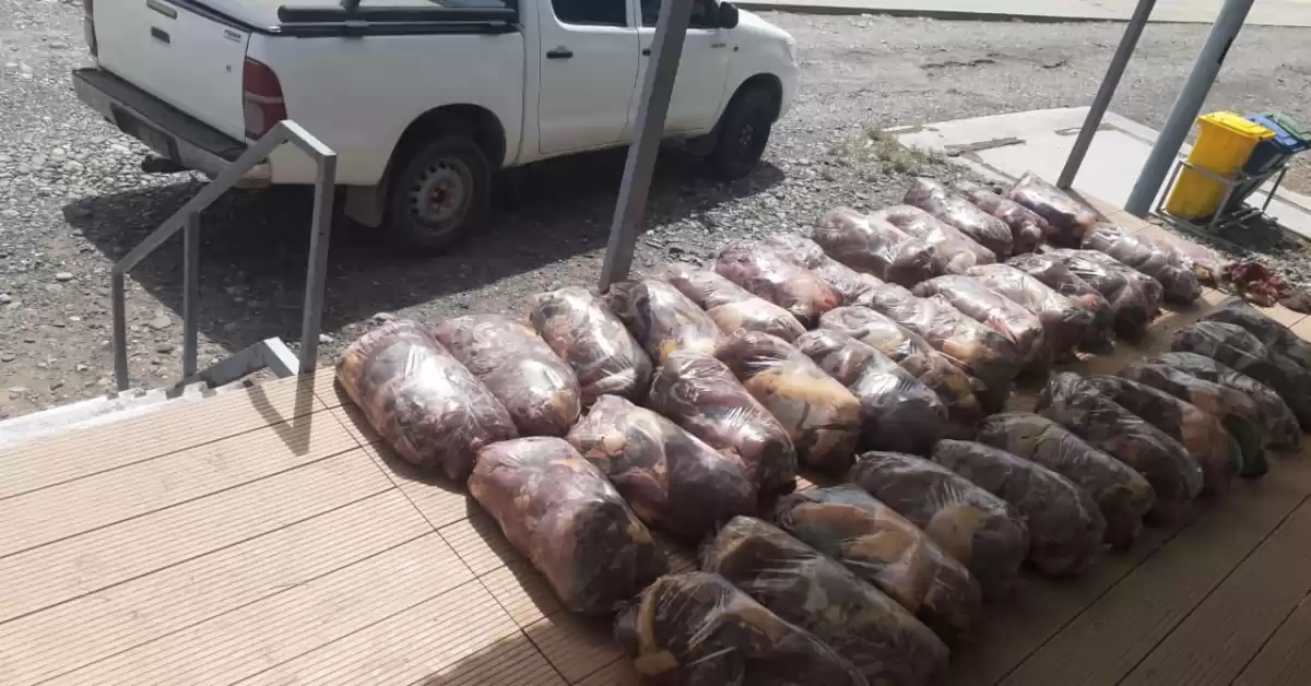 Decomisaron 477 kilos de carne de caballo que transportaban ilegalmente
