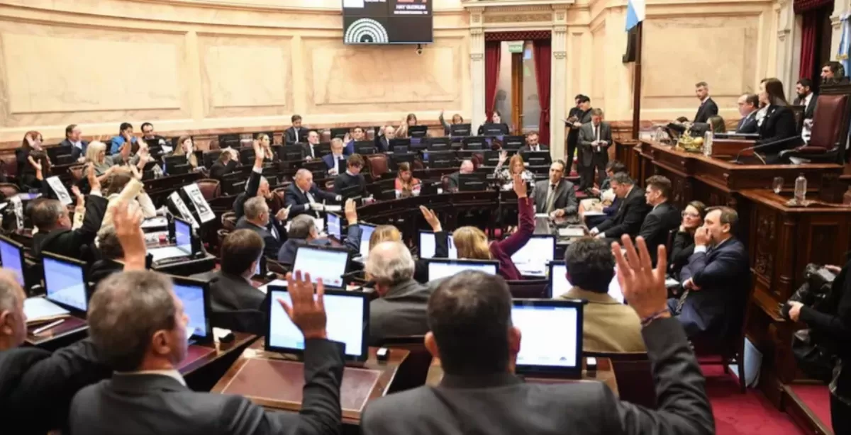 El Senado aprobó la emergencia en discapacidad hasta fines de 2026