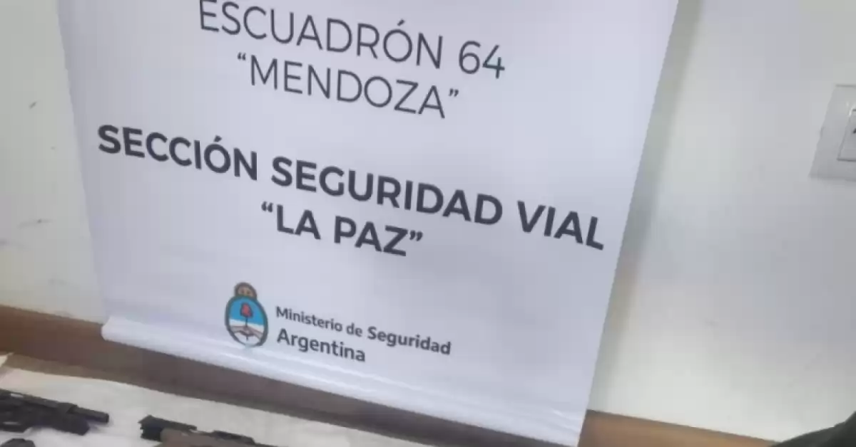 Viajaba desde Buenos Aires con 11 armas de fuego en su equipaje