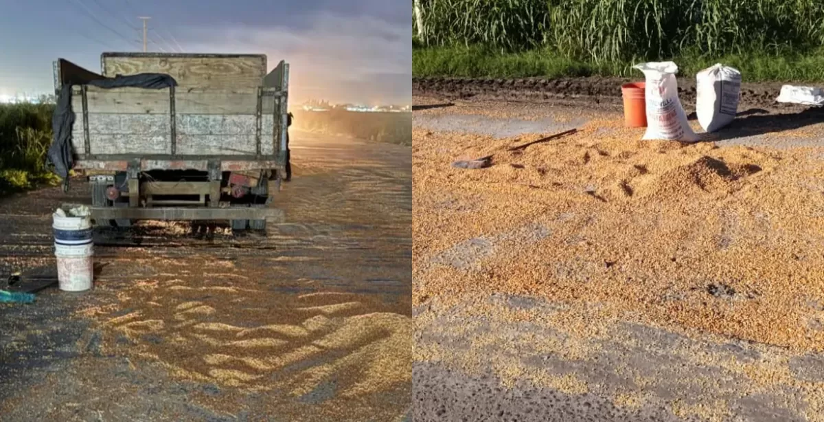 Dos robos de cereal en seis horas en Puerto: un camionero fue amenazado con un arma