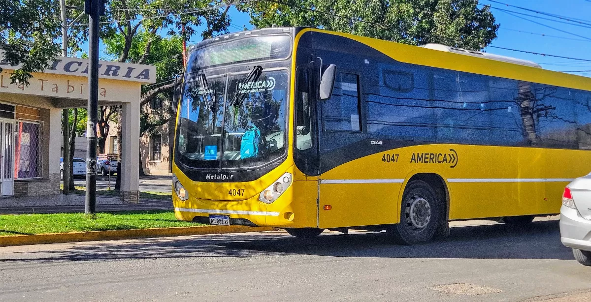 Se levanta el paro de colectivos y el servicio es normal este miércoles 