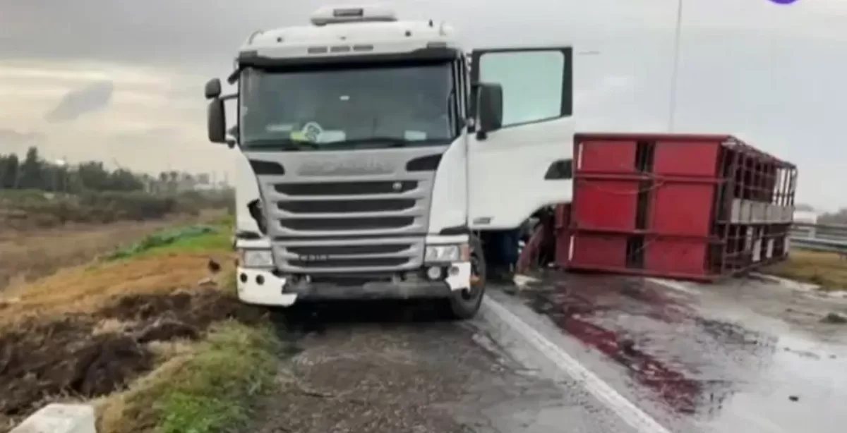 Liberaron la Autopista Rosario - Santa Fe tras el vuelco de un camión a la altura de San Lorenzo 