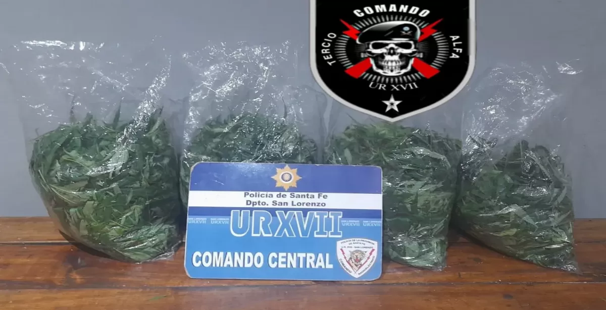 San Lorenzo: detuvieron a tres personas que vendían drogas en un auto y secuestraron 10 plantas de cannabis