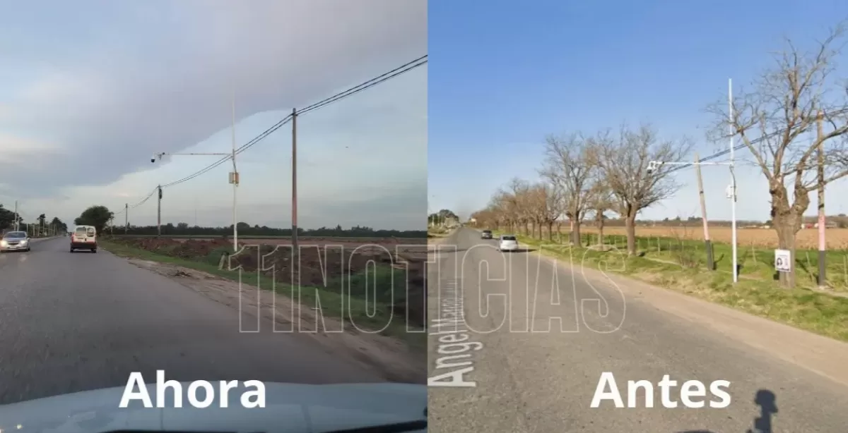 Polémica en Bermúdez por la extracción de 39 árboles en el acceso a la Autopista 