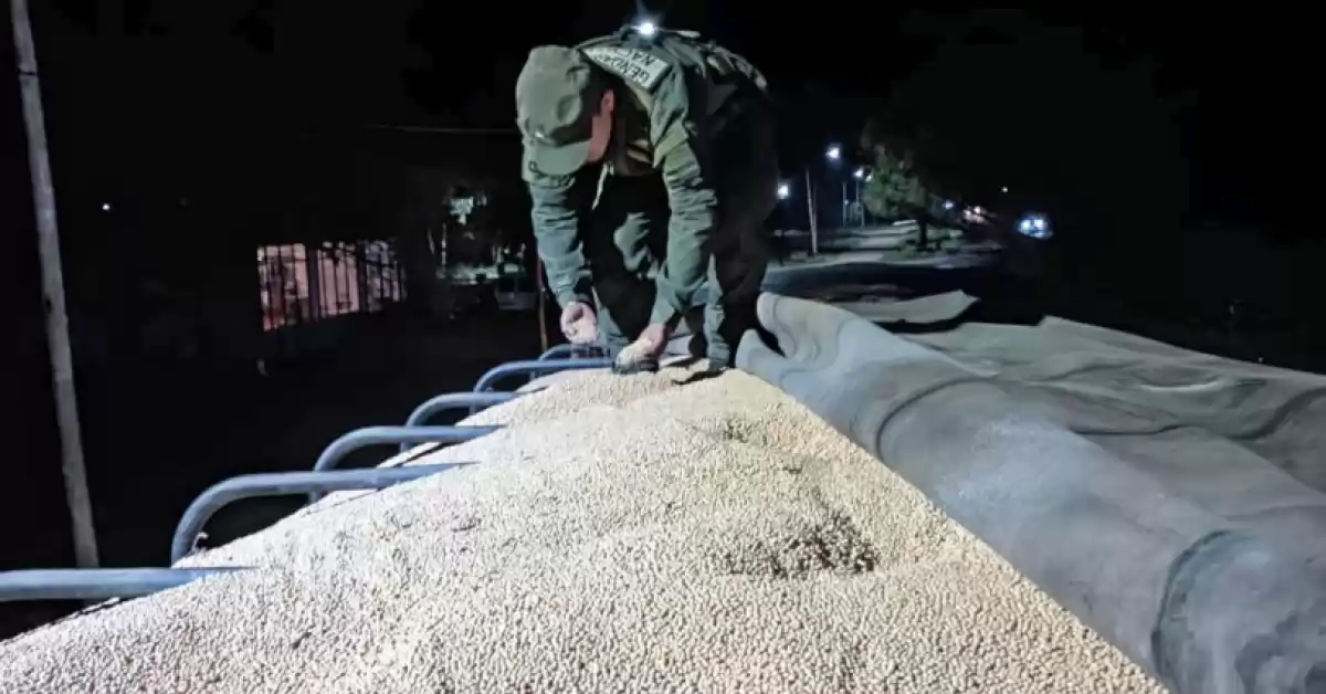 Secuestraron 57 toneladas de granos y legumbres que eran transportadas ilegalmente