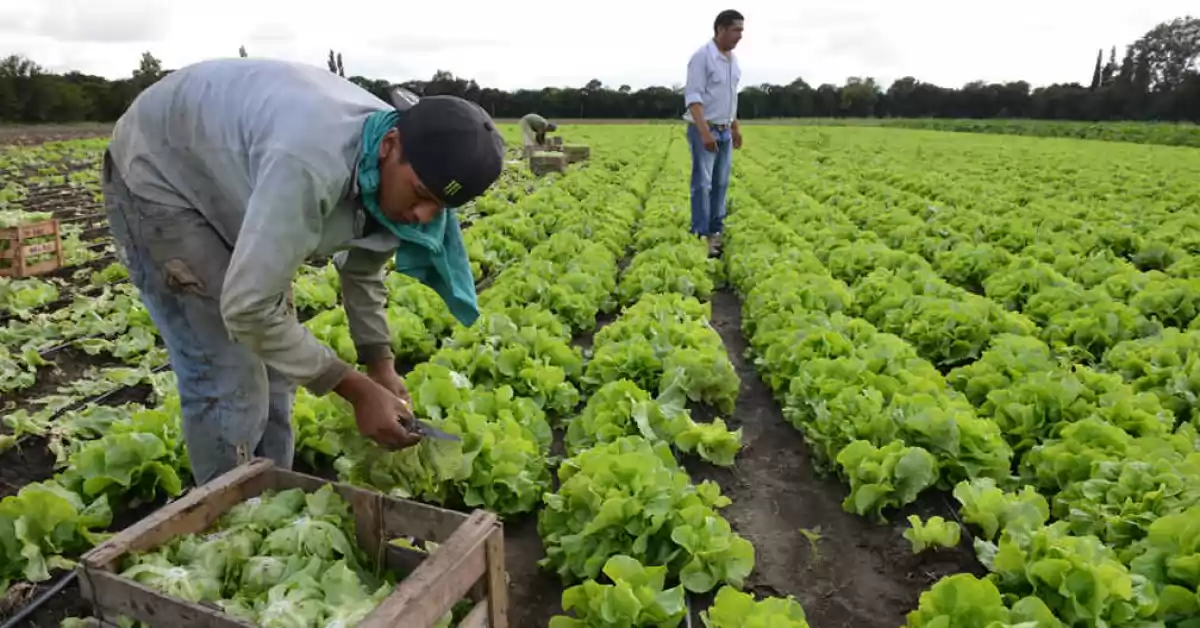 El Renatre busca compatibilizar el empleo rural registrado con planes sociales en Santa Fe