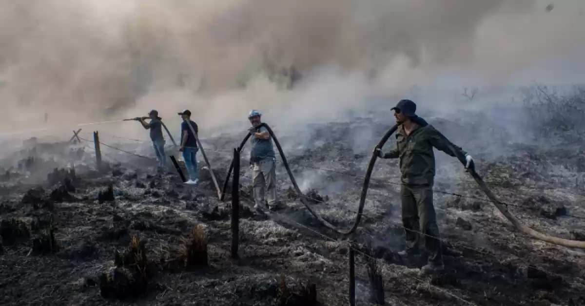 Tras la llegada de la lluvia, disminuyeron los focos de incendios en Corrientes