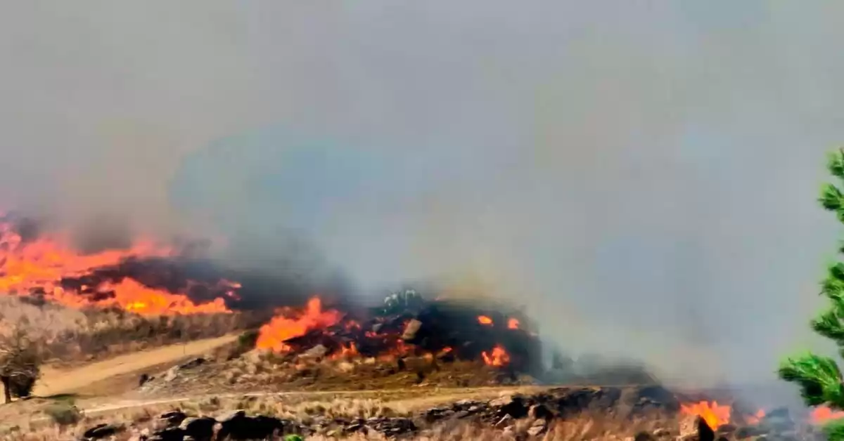 El incendio forestal de Traslasierra fue contenido y no quedan focos activos en Córdoba