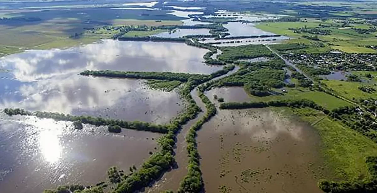 El campo bonaerense comienza a calcular las pérdidas en la cosecha tras las tormentas 