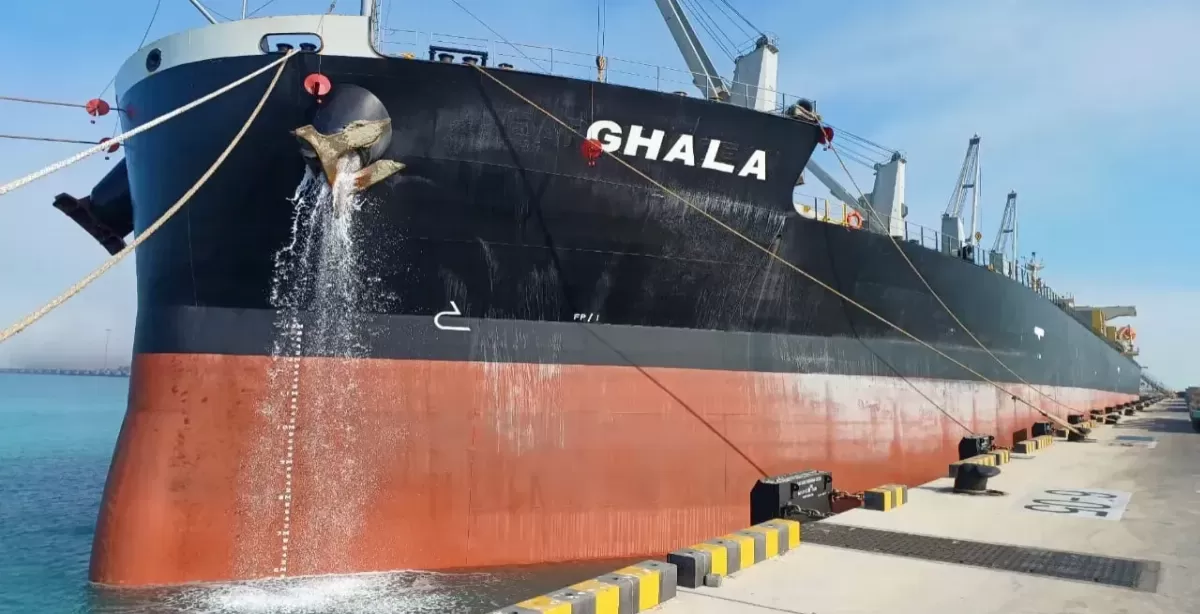 Puerto San Martín: Alerta nacional por la desaparición de un tripulante sirio que desembarcó en la región y no regresó al buque