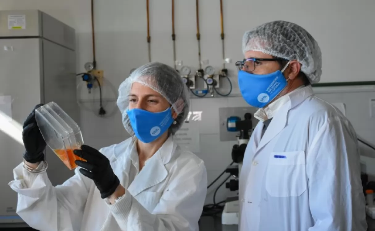 Desarrollan fármacos para enfermedades neurodegenerativas