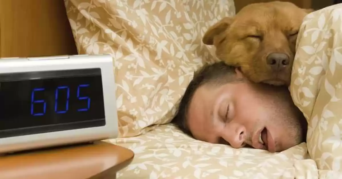 Día Mundial del Sueño: cómo crear ambientes para favorecer el sueño