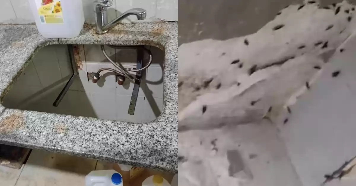 Comedores en San Lorenzo: alerta bromatológica en la cocina centralizada de barrio Norte