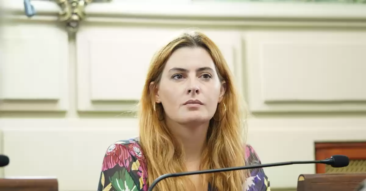 Créditos UVA: la diputada Catallini pide evitar las ejecuciones hipotecarias de viviendas
