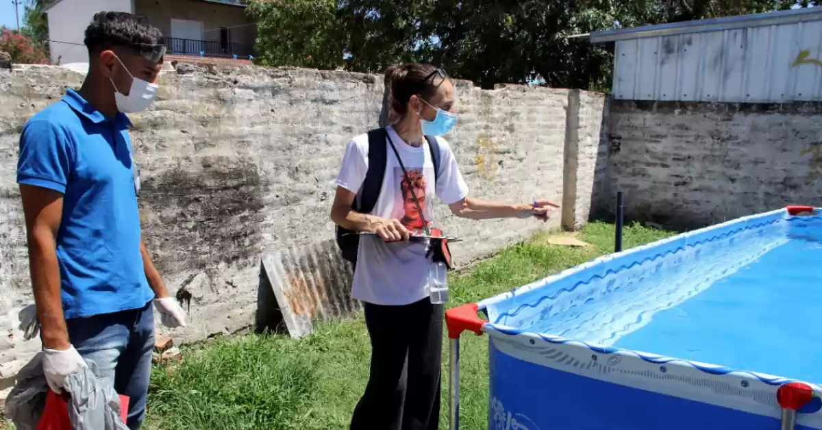 Dengue: en Santa Fe ya son 11 casos autóctonos, pero ninguno en el Cordón Industrial