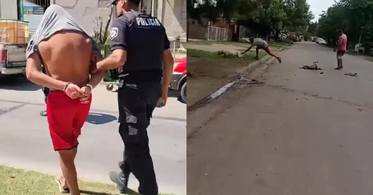 Detuvieron al hombre que atacó a mazazos a un perro en San Lorenzo