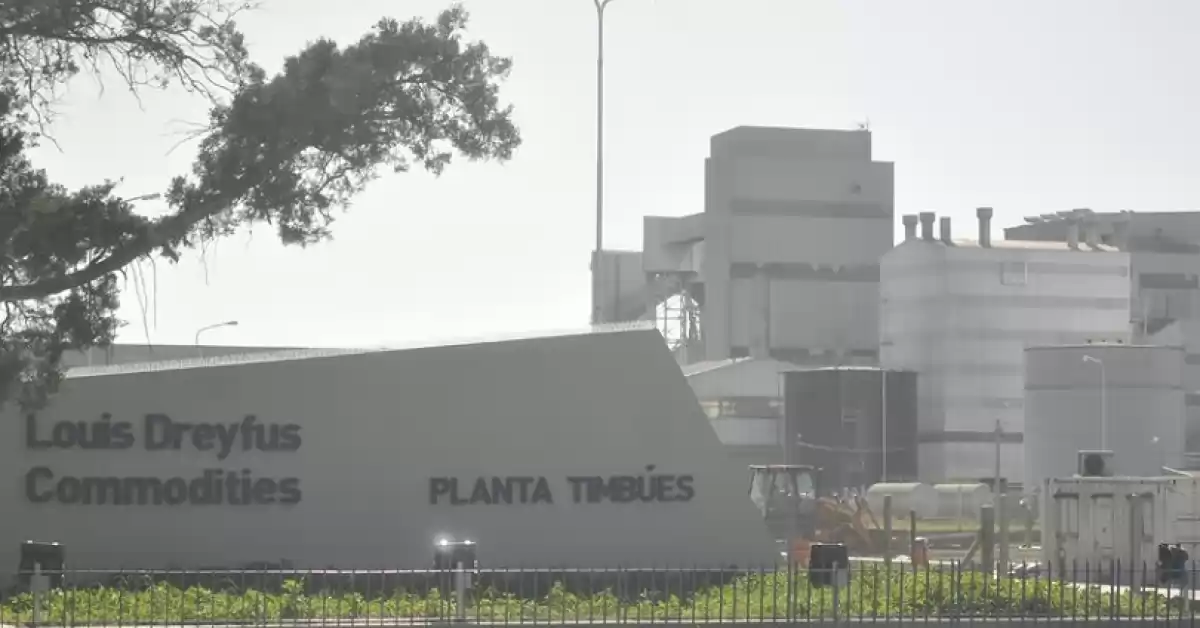 Accidente laboral en Dreyfus: un operario se amputó la mano con una máquina