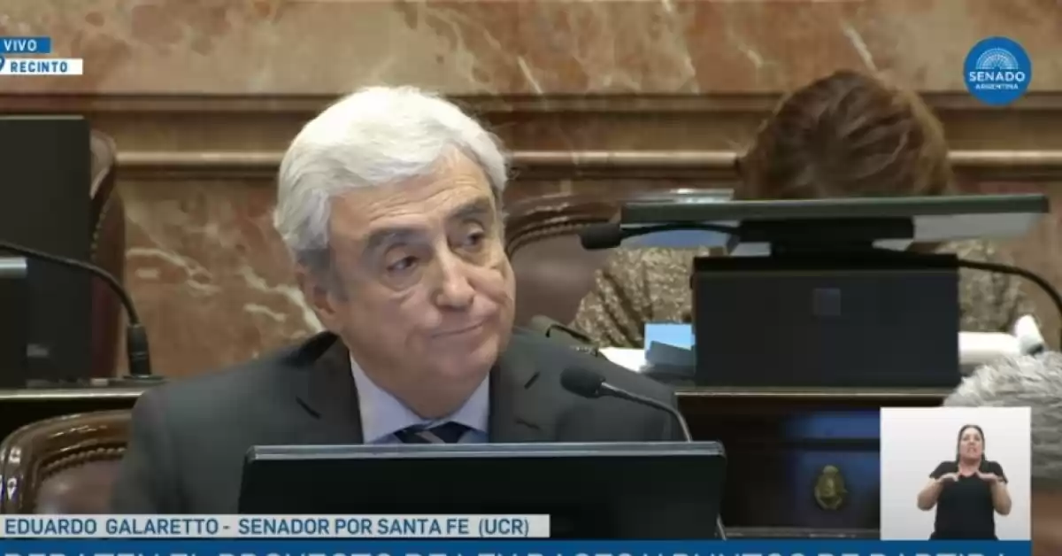 Ley Bases en el Senado: el sanlorencino Galaretto ratificó su voto positivo y dijo que Argentina es un 