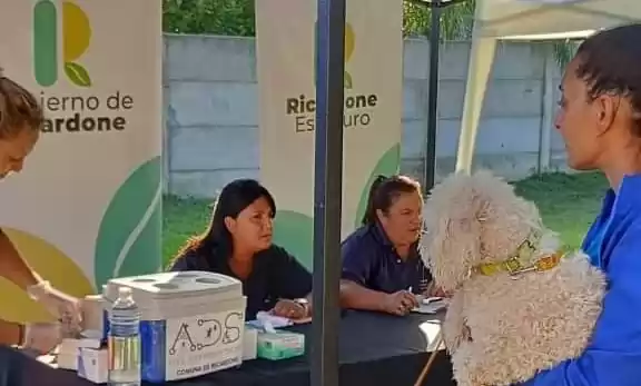 Más de 150 mascotas recibieron la vacunación antirrábica en Ricardone 