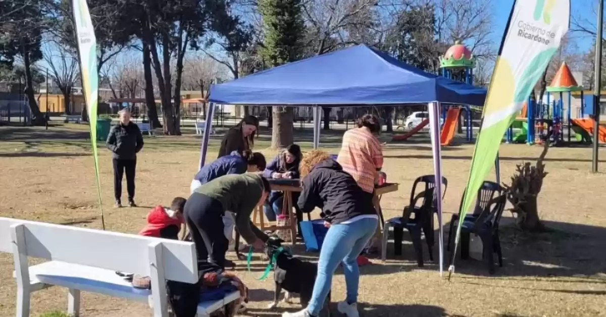 Mas de 400 mascotas fueron vacunadas contra la rabia en Ricardone 