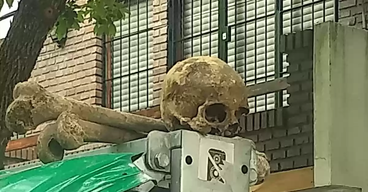 Macabro hallazgo: encontraron huesos arriba de un contenedor en Rosario