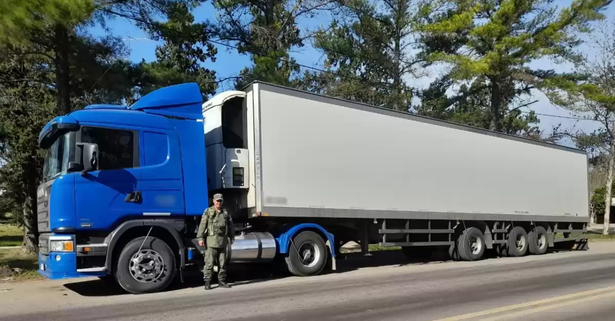 Trasladaban mas de 24 mil kilos de sábalos sin habitación desde Santa Fe a Salta