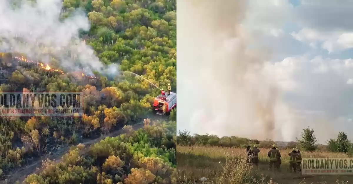 Incendio de grandes proporciones afectó un campo en Roldán