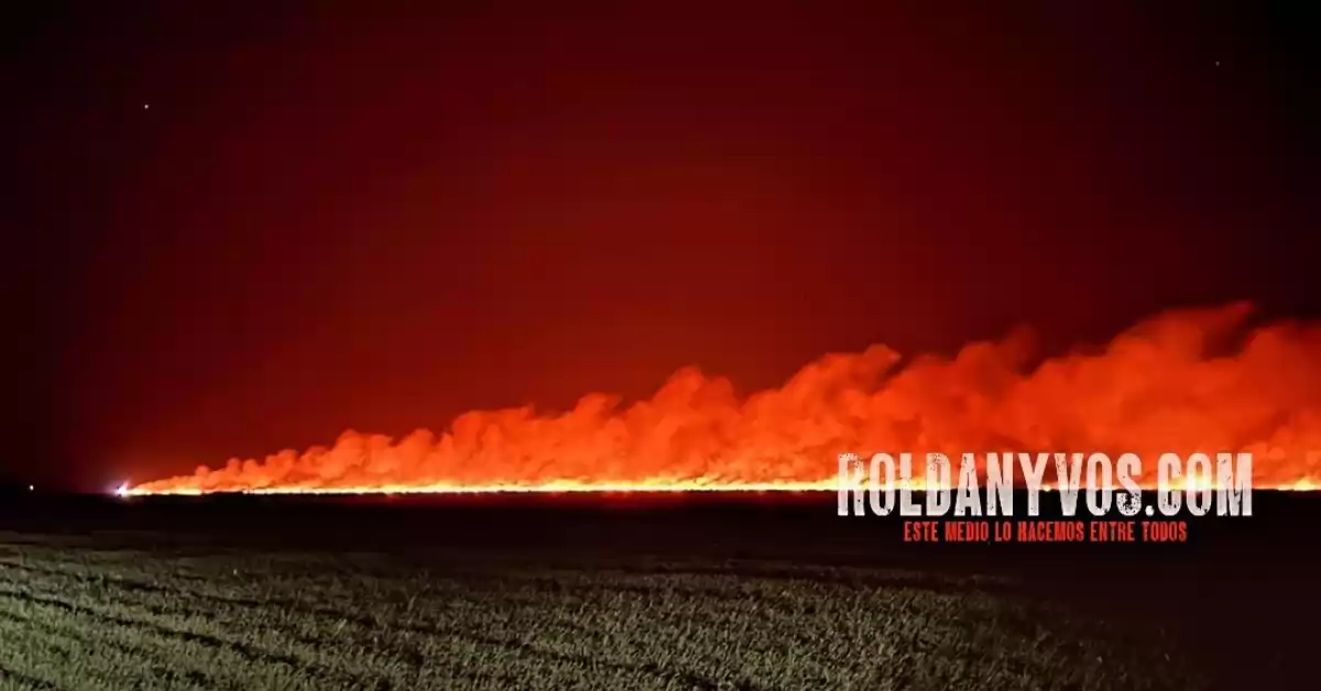 Varias dotaciones de Bomberos trabajaron en el incendio de un campo en Roldán