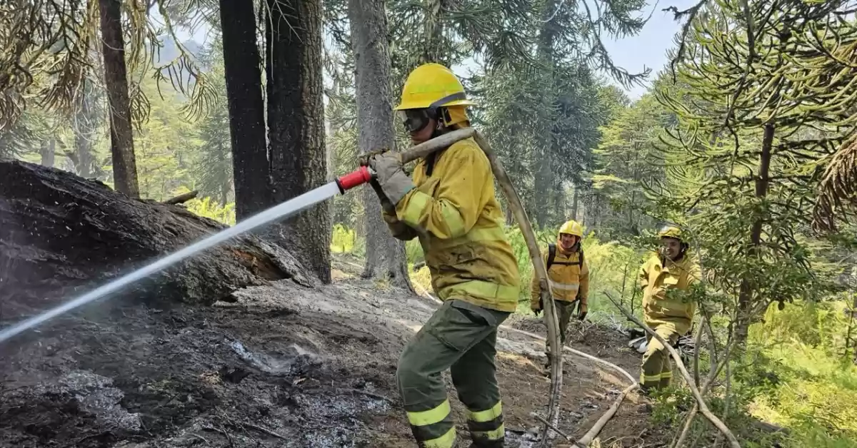 Brigadistas santafesinos llegaron a Neuquén para reemplazar a sus compañeros en el combate de incendios 