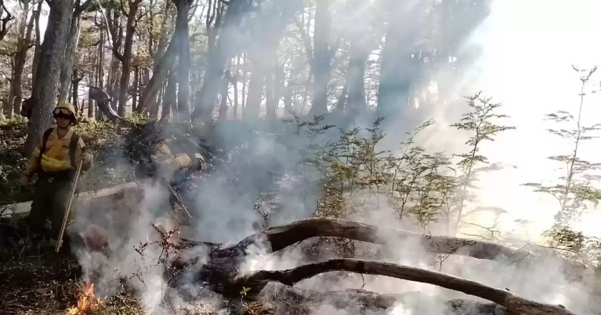 Se encuentran controlados los incendios en los parques nacionales Los Alerces y Nahuel Huapi