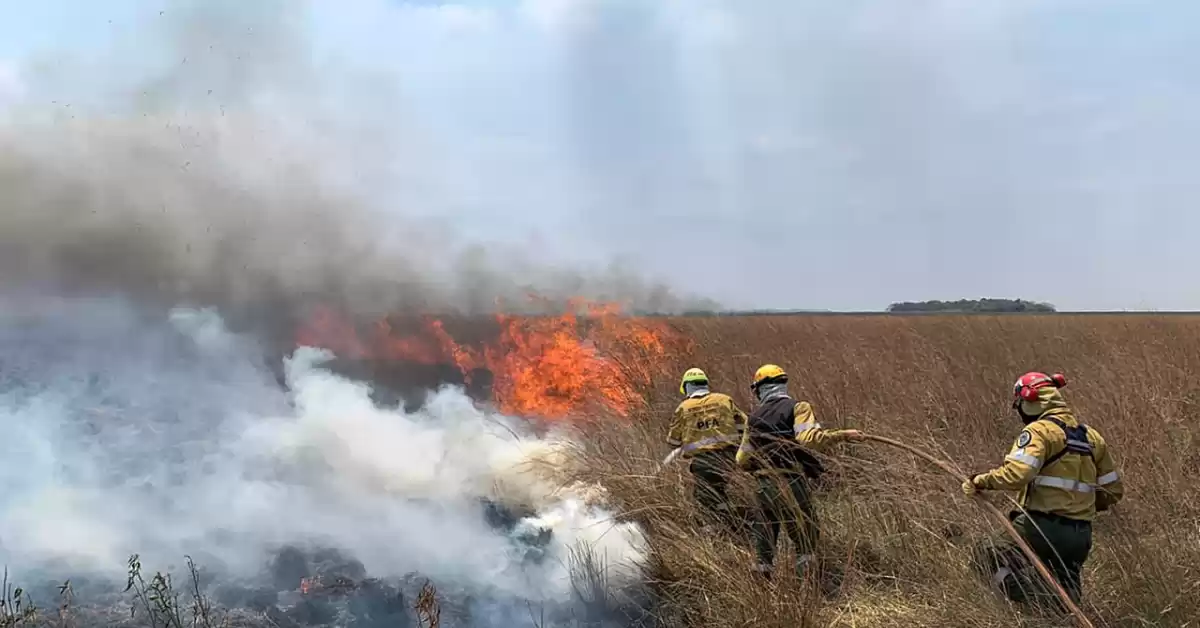 Incendios en Corrientes: investigan 75 denuncias por fuegos intencionales