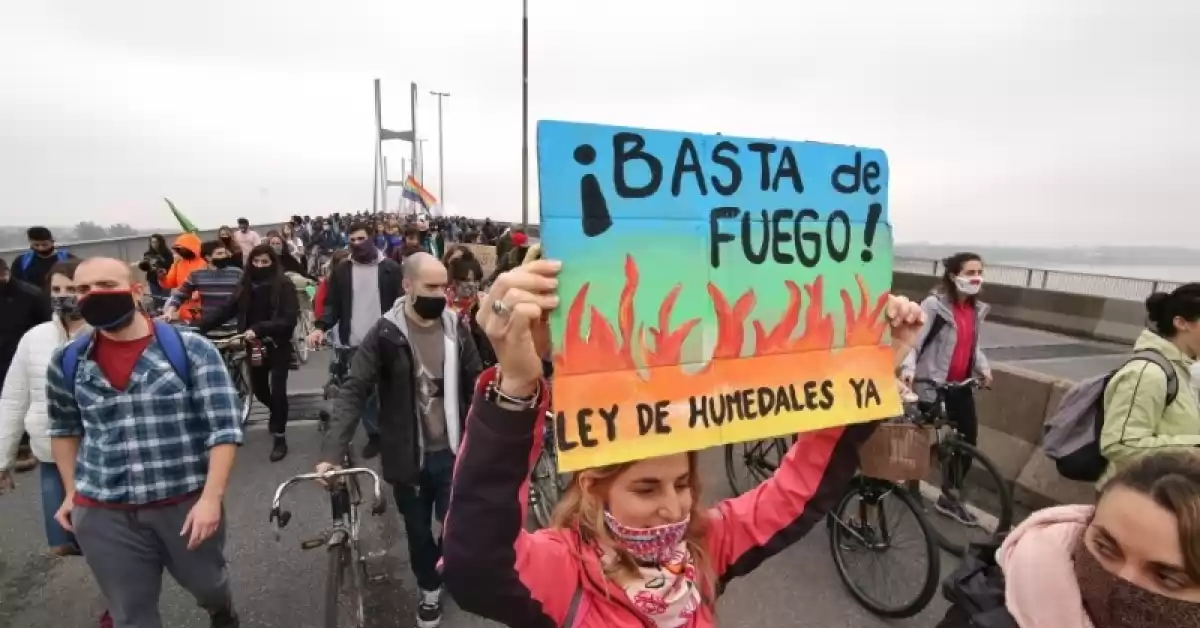 La Ley de Humedales perdió estado parlamentario y hay enojo de ambientalistas