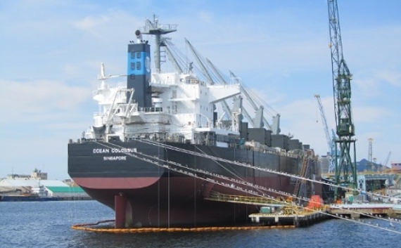 Llegaron dos polizones en un buque al puerto de Cargill