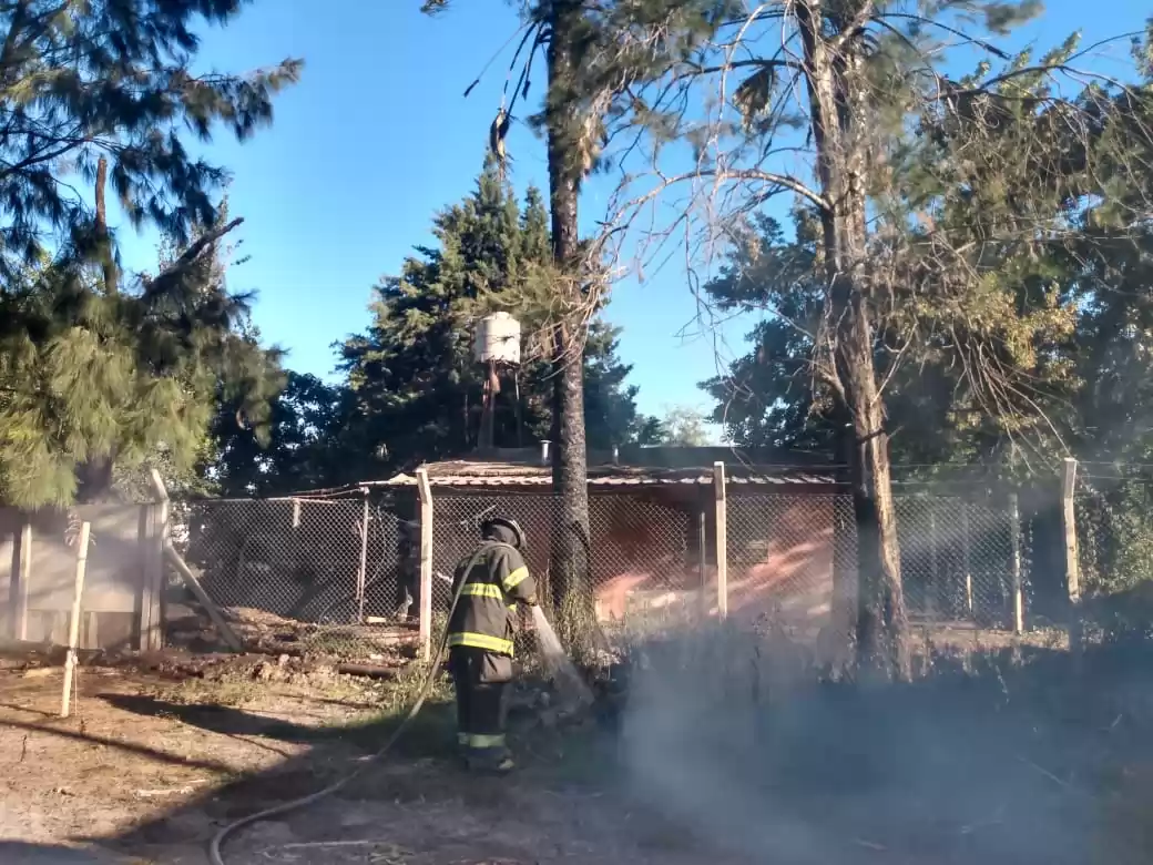 Bomberos apagaron un incendio de árboles y troncos en una empresa de Puerto San Martín