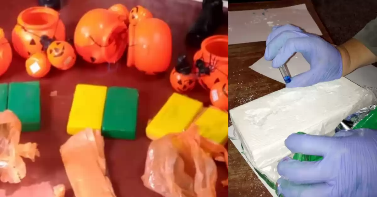 Insólito: escondía seis kilos de cocaína en calabazas de Halloween