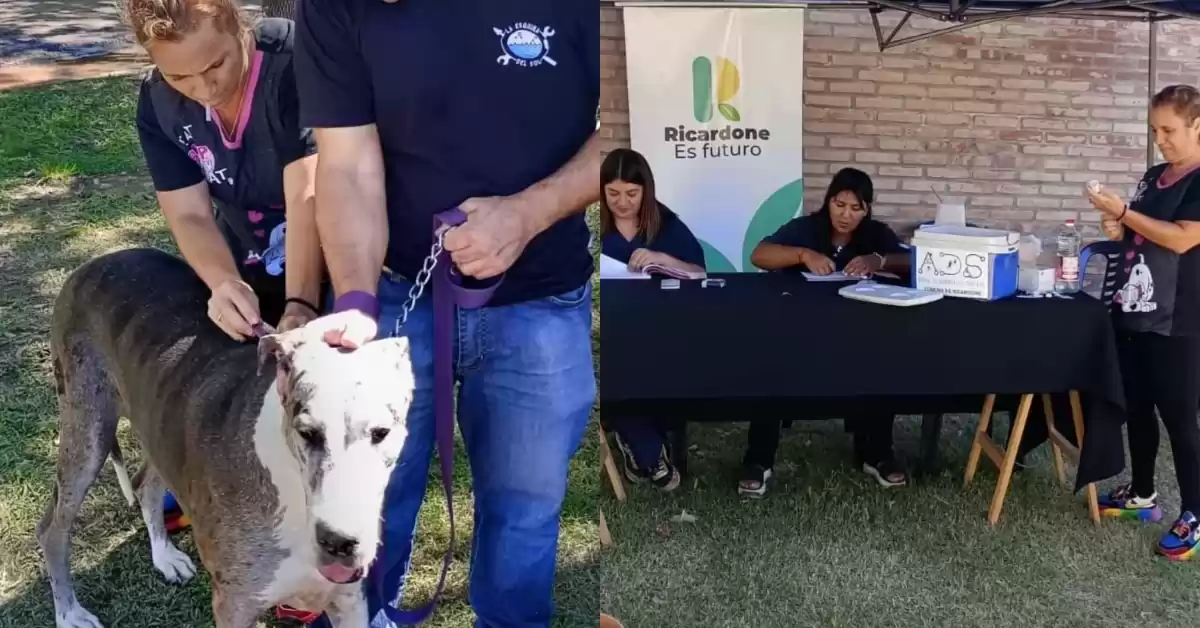Cerca de 200 mascotas recibieron la vacuna antirrábica en Ricardone