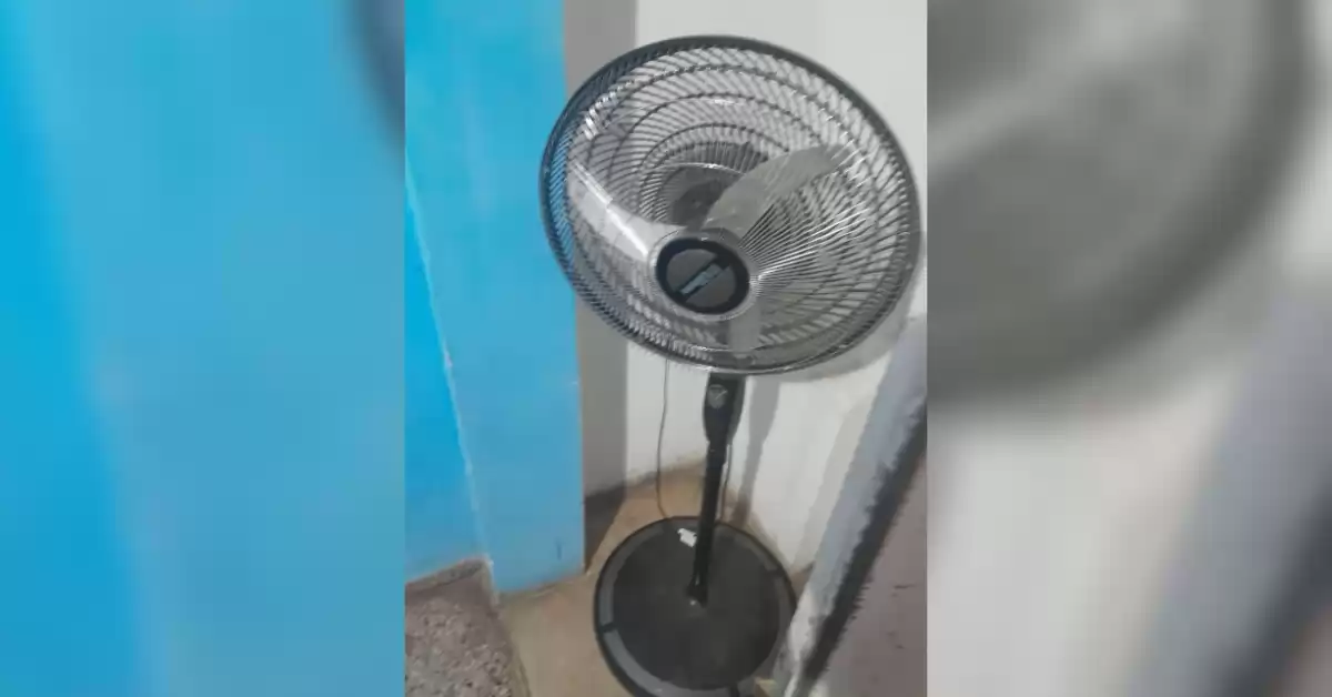 Un joven intentó robarle el ventilador al abuelo y terminó detenido