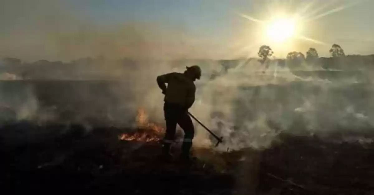 Quemas en las islas: Entre Ríos envió a la Justicia datos catastrales de las tierras donde se detectaron incendios