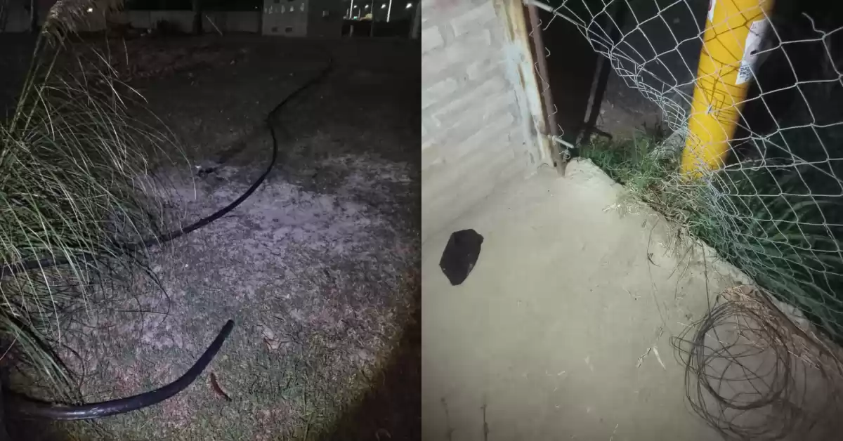 Beltrán: robaba cables e intentó esconderse cuando llegó la policía