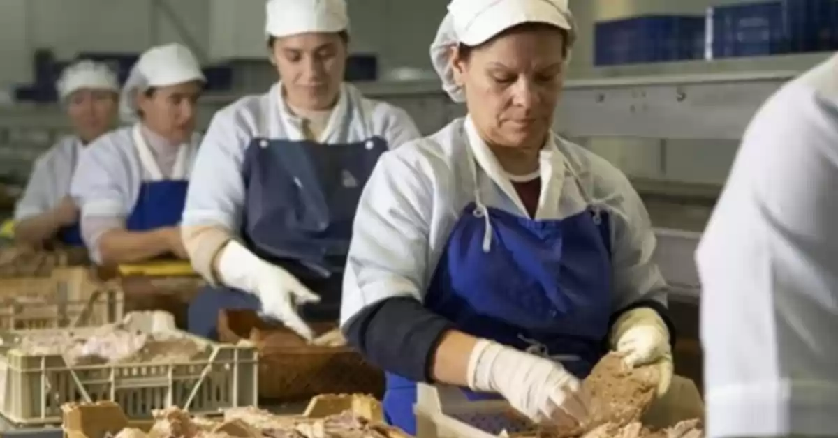 Las ventas minoristas pyme se retrajeron 4,1 por ciento anual en agosto según la CAME