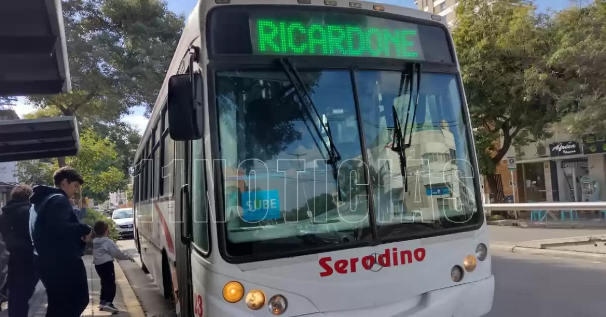 Serodino anunció que suspenderá definitivamente dos de sus servicios
