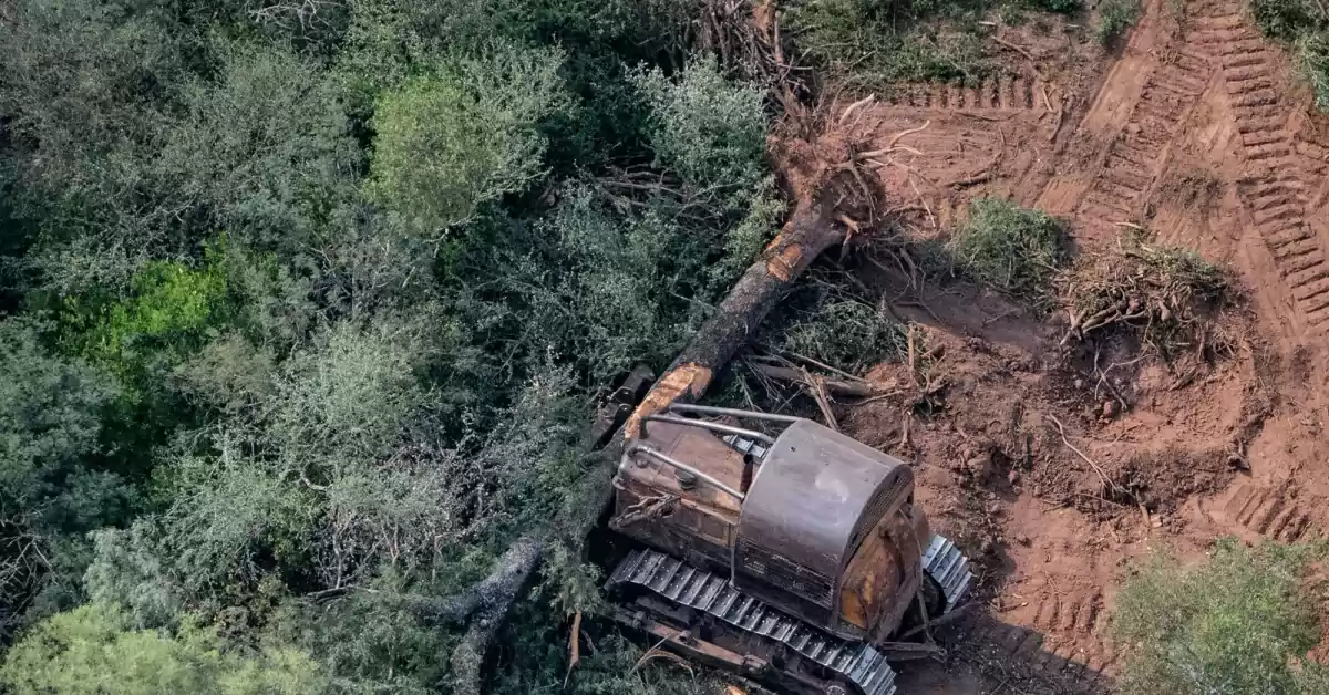 Argentina entró en “default ambiental”: desde hoy consumiremos los recursos naturales a crédito del futuro